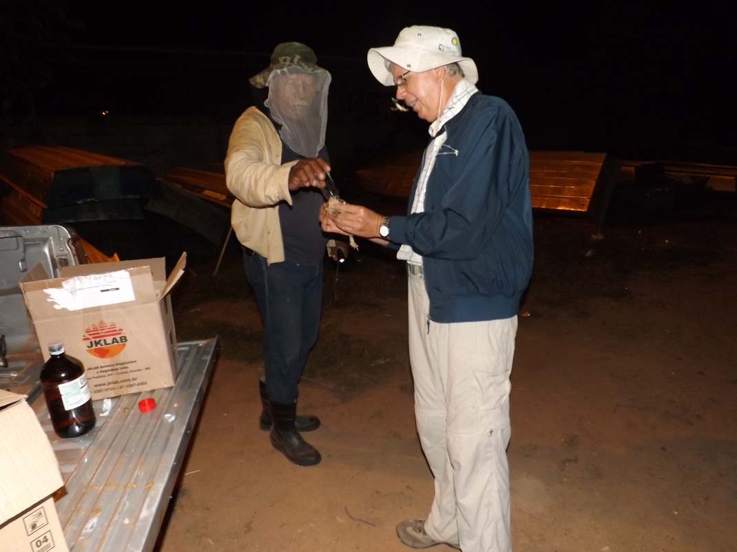 Imagen 2