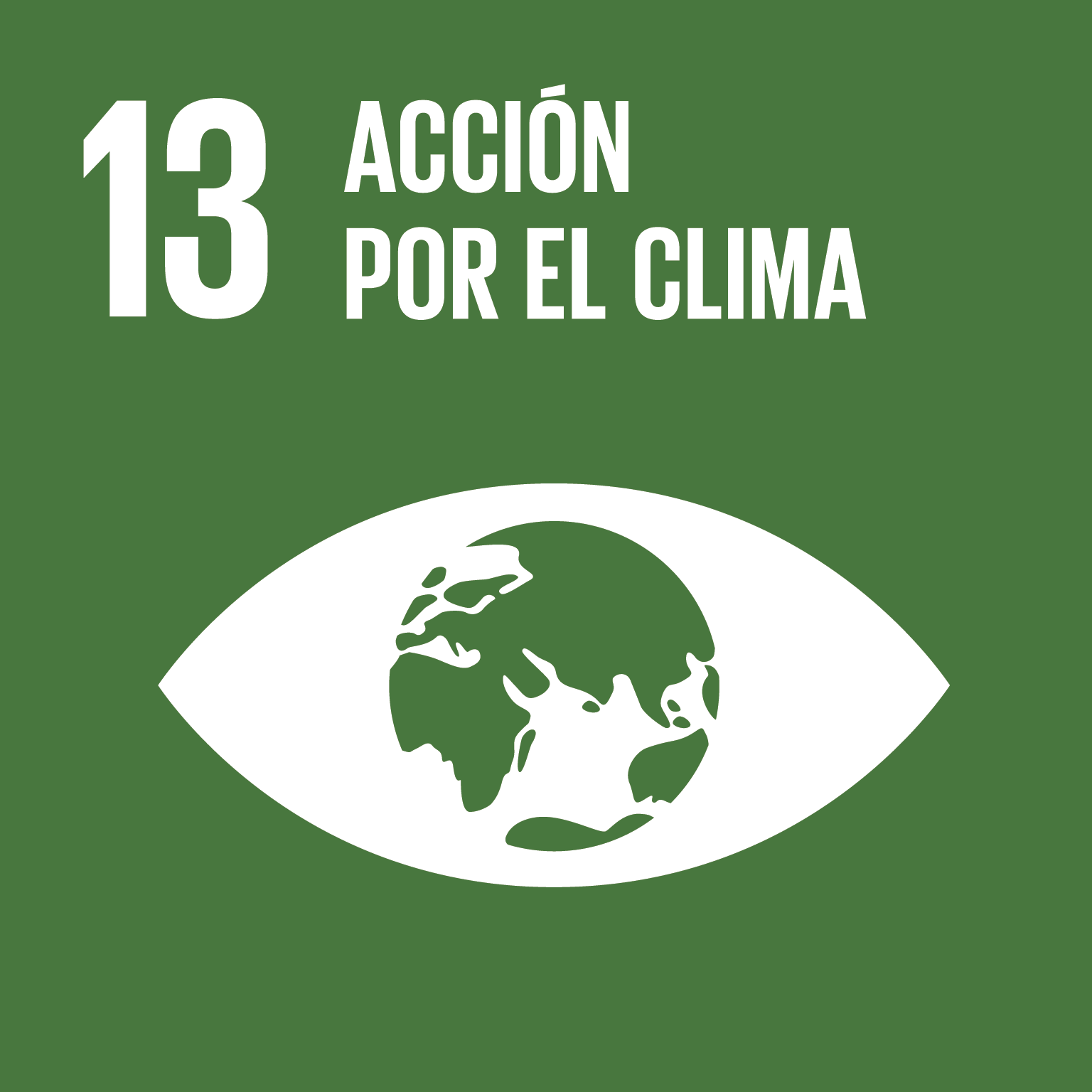 ODS_ICON13