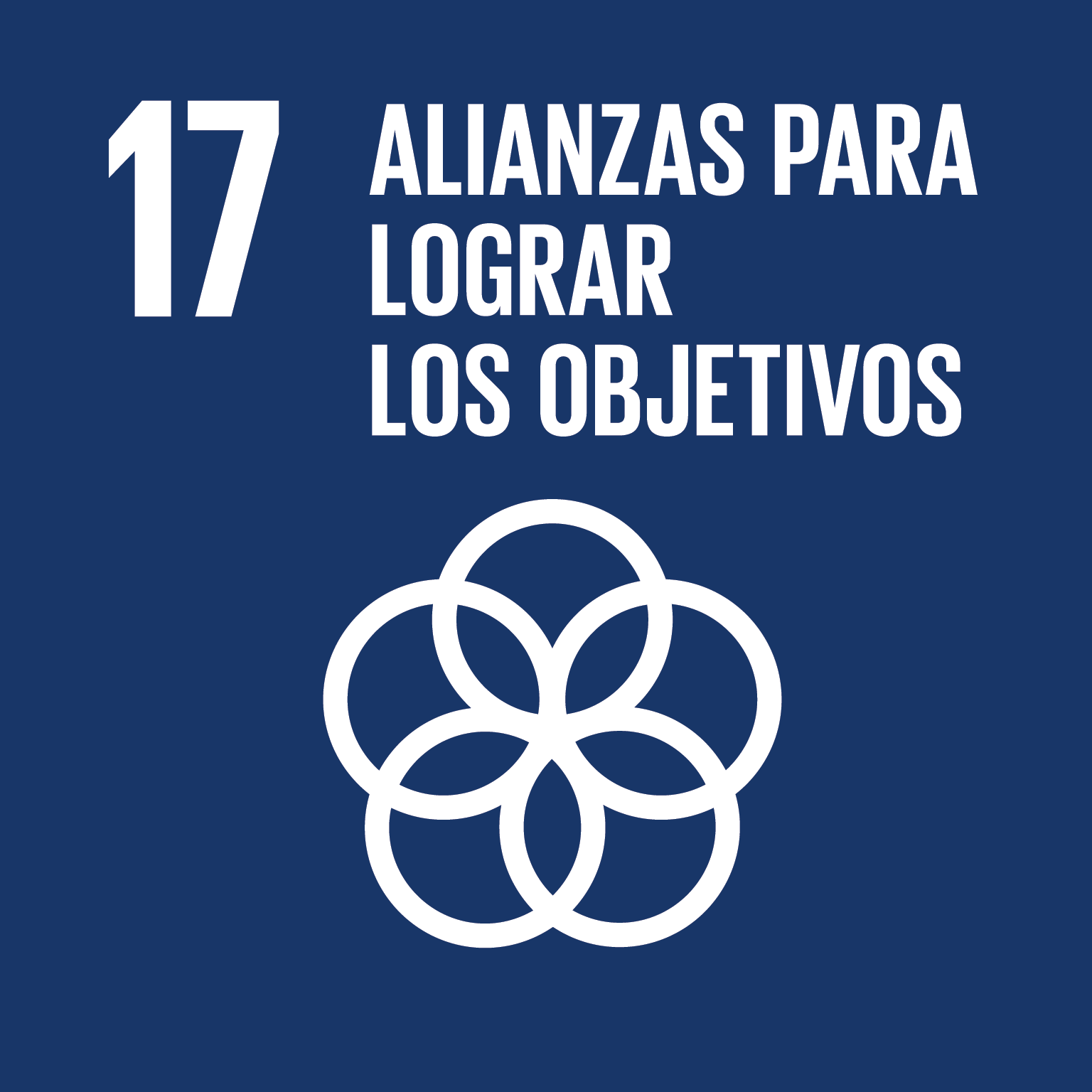 ODS_ICON17